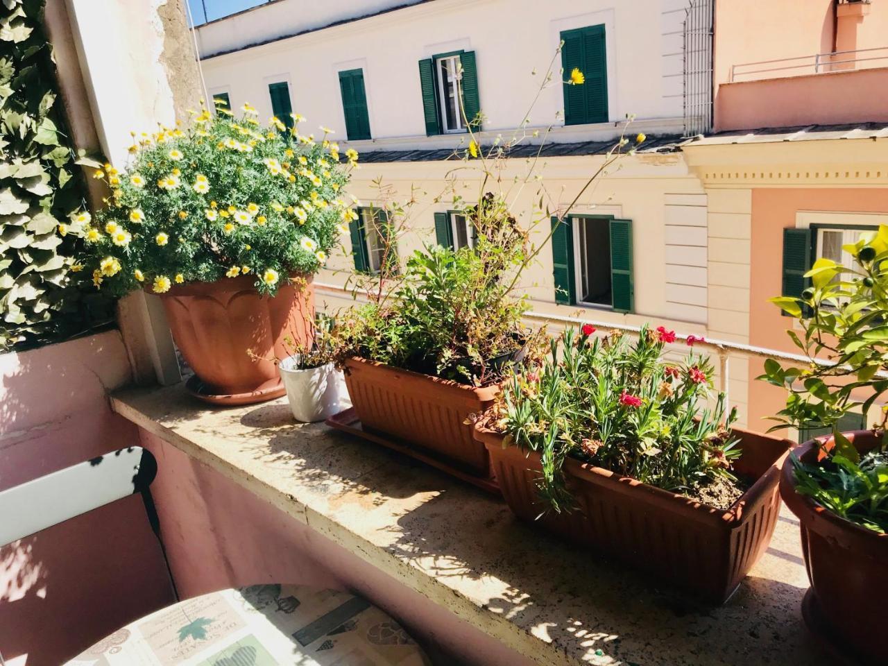 When In 3* Roma